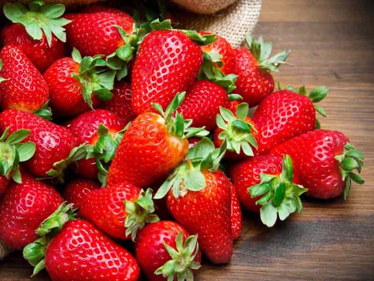 गर्मियों में पुरुष जरूर करें स्ट्रॉबेरी का सेवन, जानलेवा बीमारियों से मिलेगी सुरक्षा