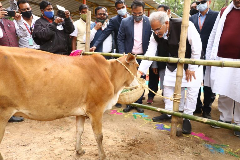 मुख्यमंत्री भूपेश बघेल ने महोरा गौठान का किया निरीक्षण : गोबर से निर्मित सरस्वती जी की प्रतिमा पर पुष्प चढ़ा कर किया नमन
