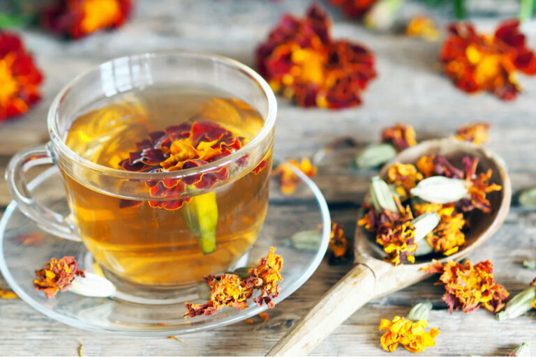 घाव भरने से लेकर त्वचा में निखार लाती है गेंदे के फूल की चाय, जानें कई गजब के फायदे और बनाने का सही तरीका