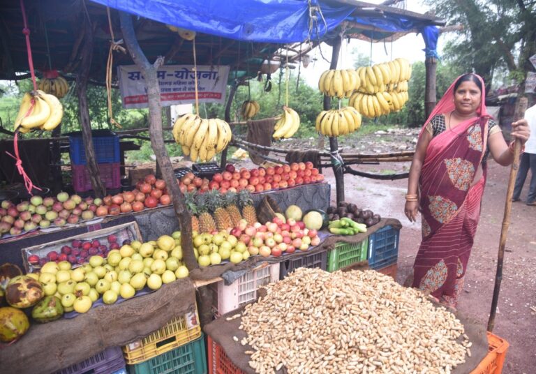 हौसलों से उद्यम की असीम संभावनाएं खोल रही महिलाएं