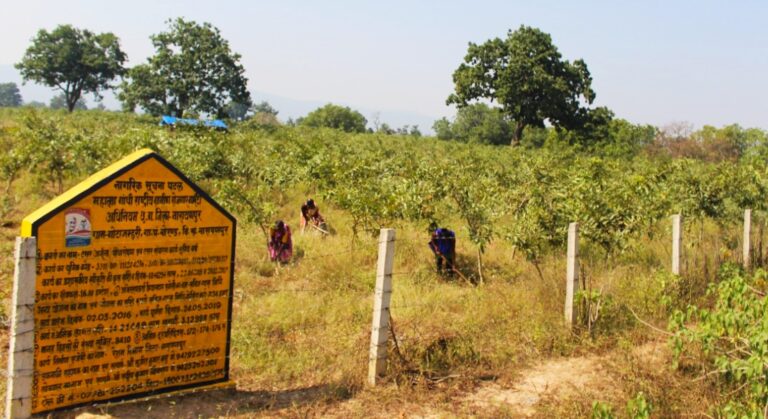 मनरेगा आयुक्त ने अभिसरण से कराए जाने वाले कार्यों की स्वीकृति में तेजी लाने के दिए निर्देश