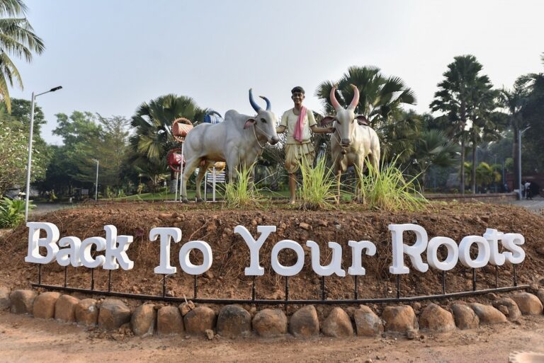 टिमटिमाते तारों से सजे आसमान के नीचे मॉन्टेरिया विलेज करेगा बेहतरीन मनोरंजन