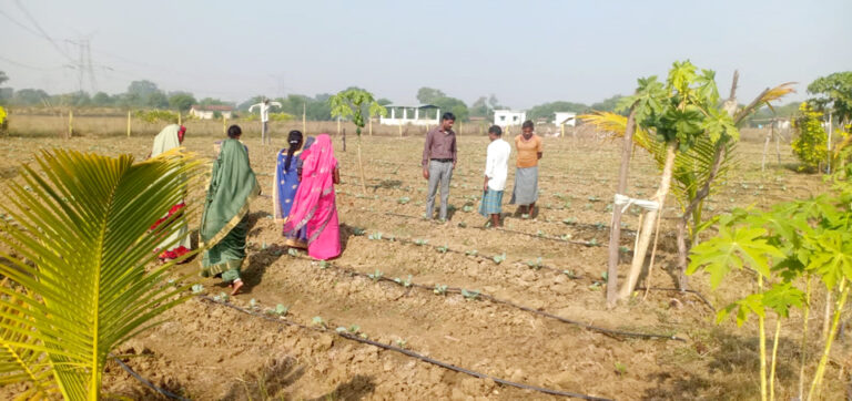बाड़ी विकास योजना से समूह की दीदियां हो रही आत्मनिर्भर