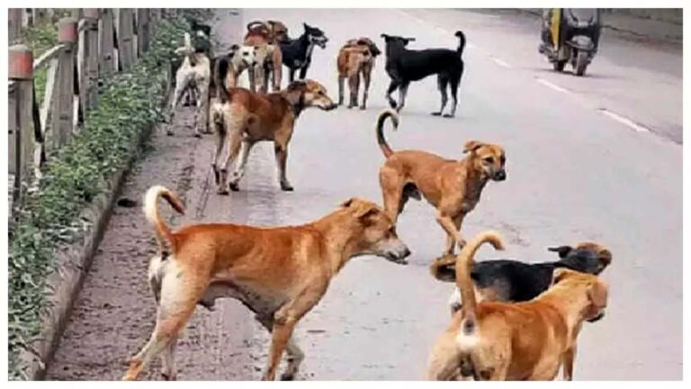 केंद्र सरकार का नया निर्देश: कुत्तों को भी मिला मूल निवासी का हक, मोहल्लों से भगाया नहीं जा सकता