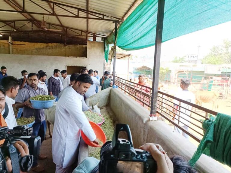 “मेरा गौठान मेरा अभिमान” कार्यक्रम की शुरुआत रायपुर के गोकुल नगर गौठान से युवा कांग्रेस के प्रदेश अध्यक्ष आकाश शर्मा द्वारा गौ माता की सेवा और श्रमदान कर की गई