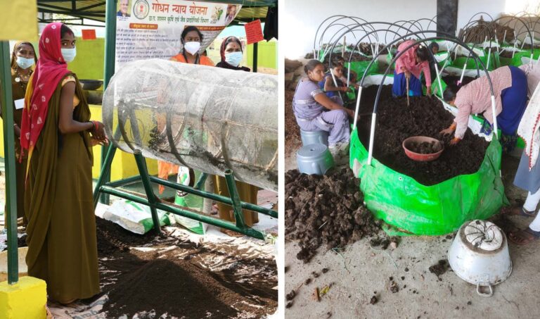 समृद्धि और खुशहाली का आधार बन रहे गोठान