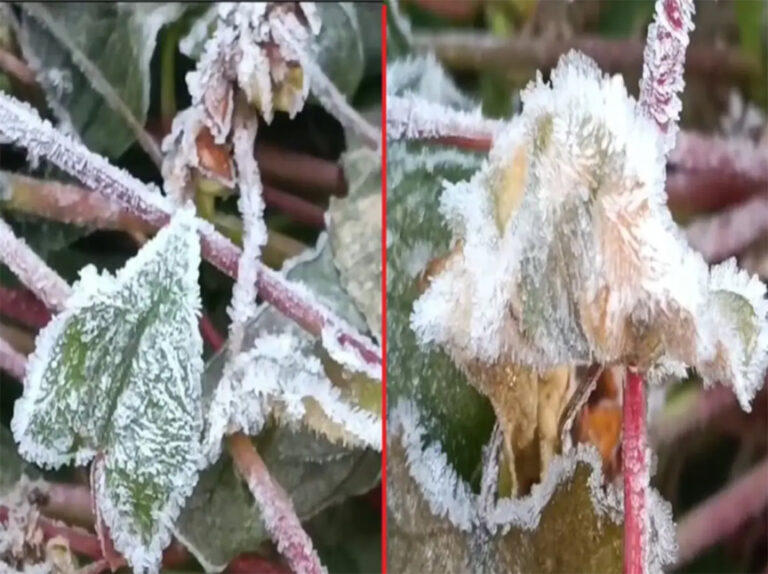 छत्तीसगढ़ के ‘शिमला’ में लुढ़का पारा, मैनपाट में बर्फ जमना शुरू