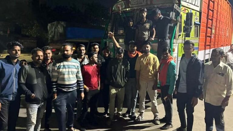 छत्तीसगढ़ में गौ-तस्करी का बड़ा मामला:गौसेवकों ने पकड़ा गायों से भरा कंटेनर,कई की मौत,पूर्व सीएम ने भाजपा पर कसा तंज