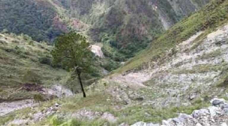 उत्तराखंड: नैनीताल में बड़ा हादसा, खाई में गिरा मैक्स वाहन, 8 लोगों की मौत