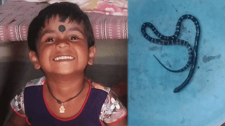 जगदलपुर में सात साल की मासूम को सांप ने काटा, इलाज के अभाव में हुई मौत