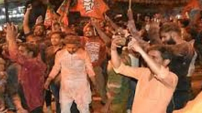 छत्तीसगढ़ के 10 सीटों पर भाजपा का कब्जा, जीत के जश्न में हुई आतिशबाजी