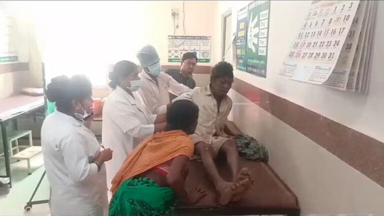 धमतरी में आदमखोर तेंदुए का आतंक: 3 साल की मासूम बच्ची को बनाया निवाला, बुजुर्ग पर किया हमला; दहशत में ग्रामीण