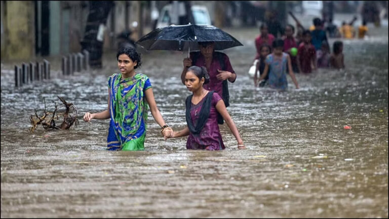 भारी बारिश के कारण मराठवाड़ा क्षेत्र में 10 की मौत, 11.67 लाख हेक्टेयर फसल बर्बाद