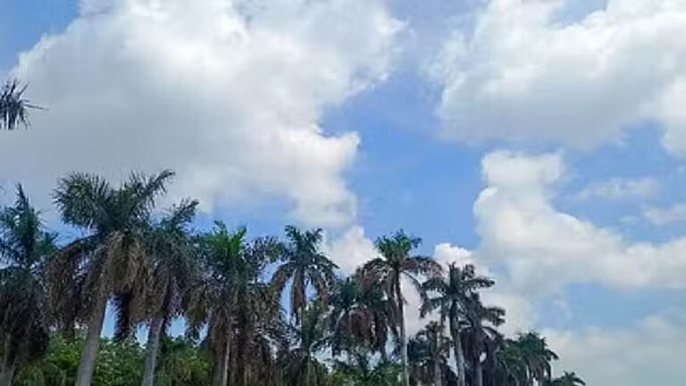 छत्तीसगढ़ में गुलाबी ठंड ने दी दस्तक, आज प्रदेश के एक-दो जगहों पर हल्की बारिश के आसार