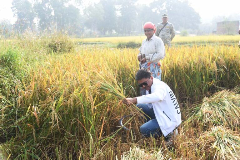 गिरदावरी का सत्यापन करने खेतों में उतरे कलेक्टर