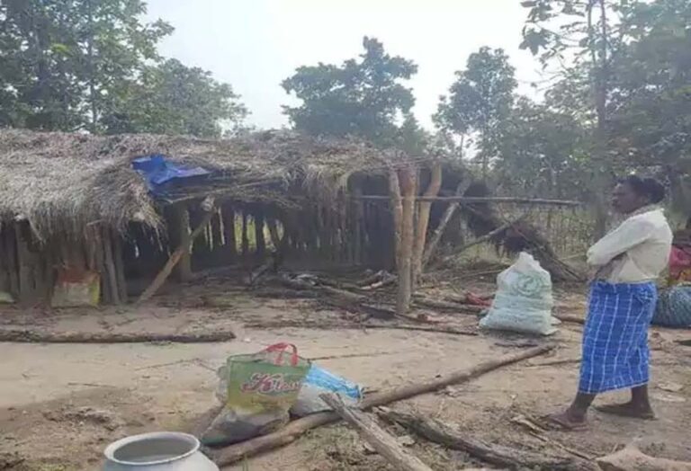 हाथियों के झुंड ने पंडो जनजाति के 2 बच्चों को कुचला, मौत