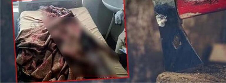 कपड़े पहनने को लेकर हुआ विवाद, छोटी बहन ने बड़ी बहन की कुल्हाड़ी से काटकर कर दी हत्या; पुलिस ने सुलझाई कत्ल  की गुत्थी