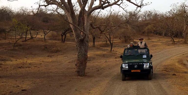 पीएम मोदी ने जंगल सफारी का लिया आनंद, बोले- वन्यजीवन को बचाने में भारत के योगदान पर गर्व