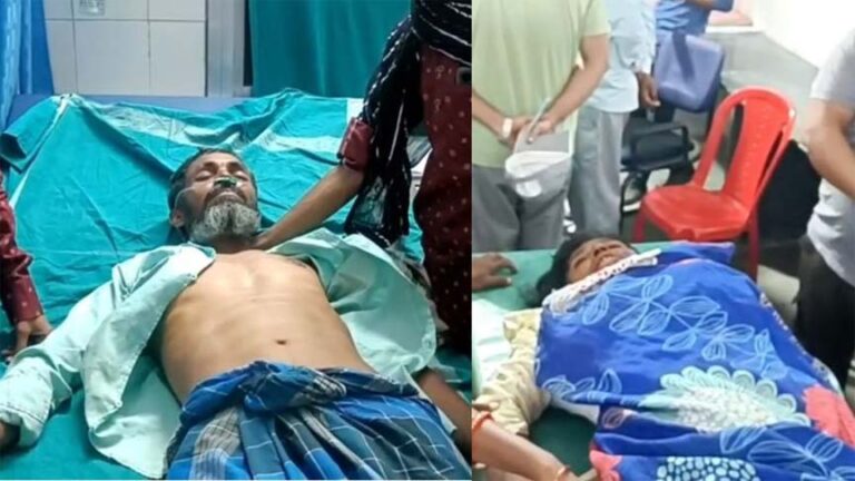 हाथी का आतंक: खेत में मवेशी बांधने गए दंपती पर हाथियों ने किया हमला, महिला का उखाड़ा हाथ, पति भी घायल…