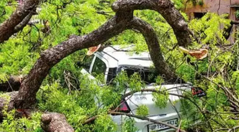 यूपी में आंधी-बारिश से तबाही, 51 लोगों की मौत, पेड़ उखड़े, खंभे गिरने से बिजली आपूर्ति प्रभावित