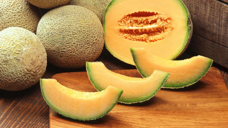 इन 5 लोगों के लिए खरबूजा खाना अच्छा नहीं, परहेज ही करें तो बेहतर