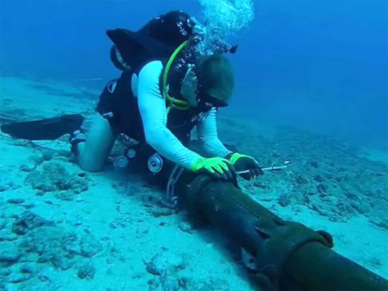 समुद्र में केबल कटते ही धीमी हो गई इंटरनेट की तेज रफ्तार, भारत समेत कई एशियाई देशों पर असर