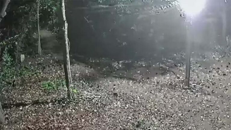 लाशों से भी हैवानियत… कब्र खोदकर निकालता था महिलाओं की लाशें, फिर करता था घिनौना काम