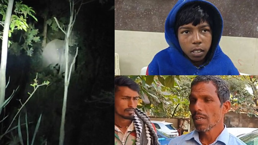 बिलासपुर में हाथी का उत्पात: घर के आंगन में महिला की कुचलकर मौत…बेटे सहित एक ग्रामीण घायल, गांवों में दहशत