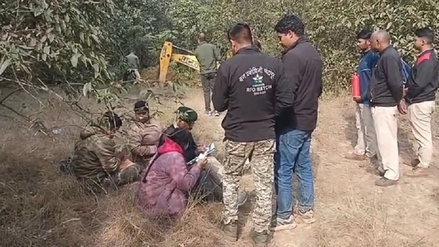 रायगढ़ में तालाब में डूबने से हाथी के बच्चे की हुई मौत, हाथियों की चिंघाड़ सुनकर मचा हड़कंप