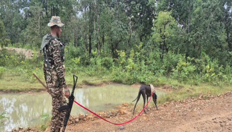 निर्णायक लड़ाई: सूखे पत्तों-पेड़ की जड़ों से चोट पहुंचा रहे नक्सली; चप्पे-चप्पे पर IED, खोजी कुत्ते भी गुमराह
