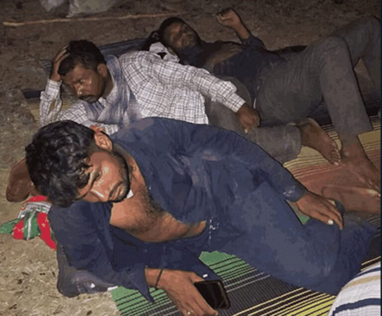 कोरबा में मवेशी तस्करी का भंडाफोड़: जंगल में 28 पशु पेड़ से बंधे मिले, धमकी भी दी; मुख्य आरोपी समेत पांच पकड़े