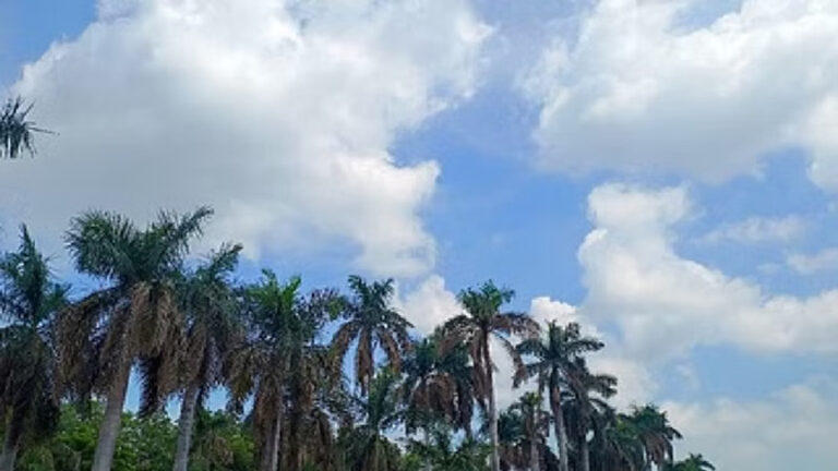 छत्तीसगढ़ में मौसम का बड़ा यू-टर्न: इन 21 जिलों में आज बारिश, आंधी और बिजली गिरने का अलर्ट