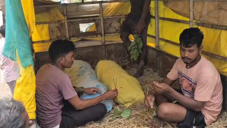 नाले ने निगल ली दो मासूम जिंदगियां, चचेरे भाइयों की डूबने से हुई मौत, गांव में पसरा मातम