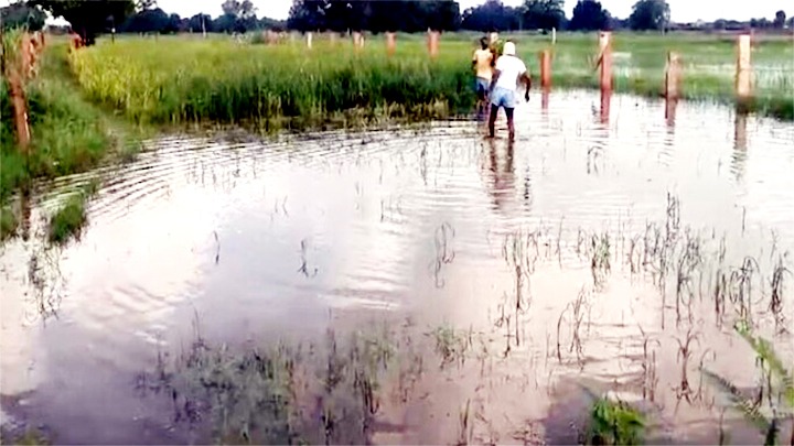 अतिक्रमण से रुकी जल निकासी