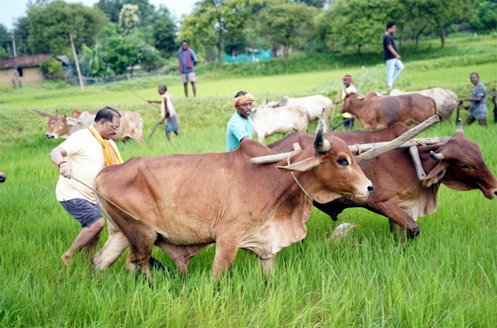 छत्तीसगढ़ की माटी, कृषि परंपरा और मेहनतकश अन्नदाता किसान सदैव हृदय के सबसे करीब: मुख्यमंत्री साय