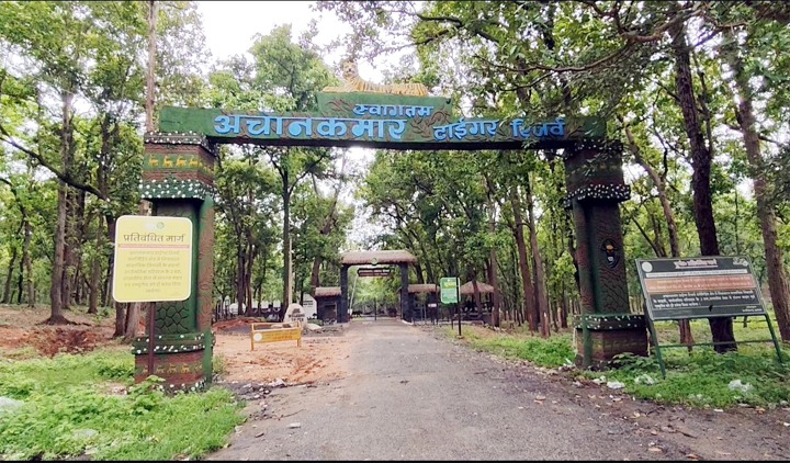अचानकमार टाइगर रिजर्व में 1 नवंबर से शुरू होगी जंगल सफारी