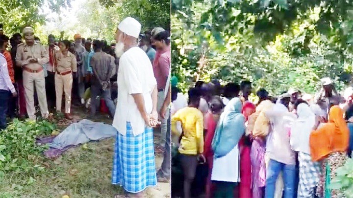 बहराइच में जंगल से लकड़ी लेने गए वृद्ध को बाघ ने बनाया निवाला